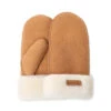 UGG Ultimate Fluffy Mitten Gloves 2 UGG Ultimate Fluffy Mitten Gloves -Ugg c1 05bfd0dc 54e9 4926 80cb b44987c80e17